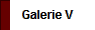 Galerie V