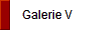 Galerie V