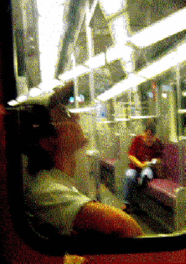 Fahrg�ste