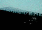 Der Blauen